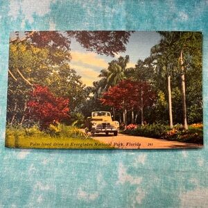 485-AMT Ten (10) New 1940’s Postcard Everglades National Park Florida